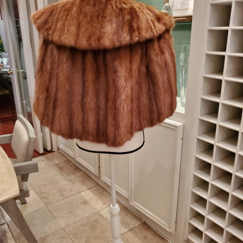 Small Cape Mink - image 2